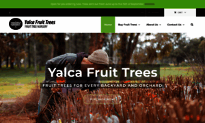 Yalcafruittrees.com.au thumbnail