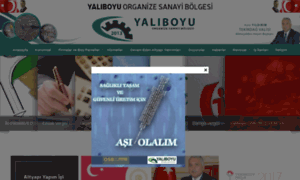 Yaliboyuosb.org.tr thumbnail