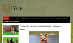 Ycf.fi thumbnail