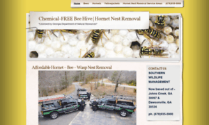 Yellowjacket-hornet-removal.com thumbnail