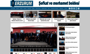 Yenierzurum.com thumbnail