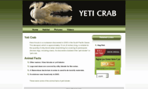 Yetikingcrab.com thumbnail