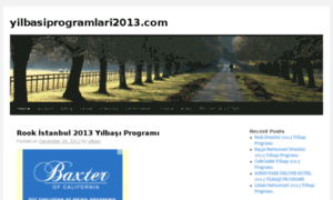 Yilbasiprogramlari2013.com thumbnail