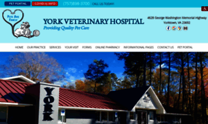 York-vet.com thumbnail