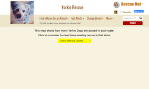 Yorkie.rescueme.org thumbnail