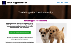 Yorkiepuppies-forsale.com thumbnail