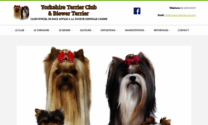 Yorkshireterrier-club.com thumbnail