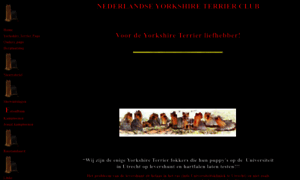 Yorkshireterrierclub.nl thumbnail