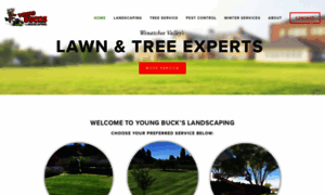 Youngbuckslandscapingllc.com thumbnail