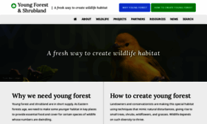 Youngforest.org thumbnail