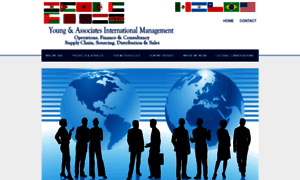 Younginternationalmanagement.com thumbnail