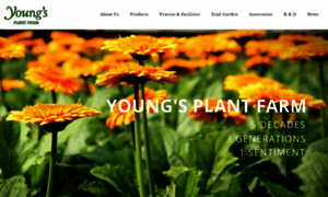 Youngsplantfarm.com thumbnail