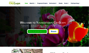 Youngstowncityscape.org thumbnail