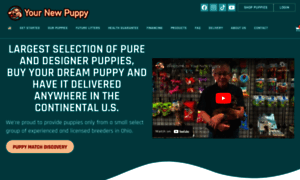 Yournewpuppyllc.com thumbnail