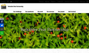 Yppartnership.org.uk thumbnail