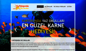 Yurtdisindayazokullari.com thumbnail