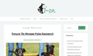 Z-z.pl thumbnail