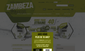 Zambeza.fr thumbnail