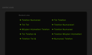 Zantel.com thumbnail