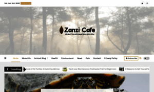 Zanzibarcafe.ca thumbnail
