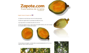 Zapote.com thumbnail