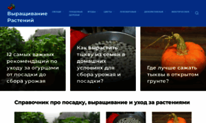 Zarip-ovosch.ru thumbnail