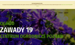 Zawady19.pl thumbnail