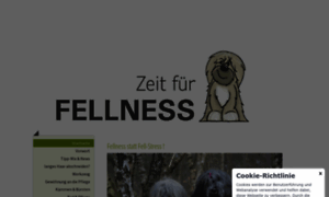 Zeit-fuer-fellness.de thumbnail
