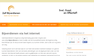 Zelfbijverdienen.nl thumbnail