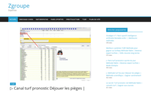 Zgroupe.org thumbnail