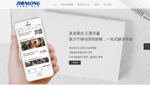 Zhenlong.net thumbnail