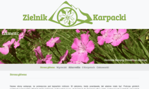 Zielnik-karpacki.pl thumbnail