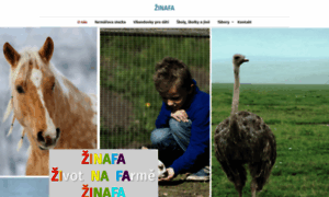 Zinafa.cz thumbnail