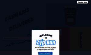 Ziprun.com thumbnail