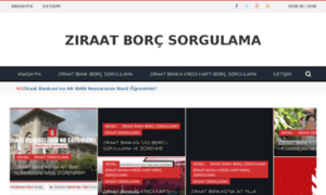 Ziraatborcsorgulama.com thumbnail