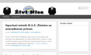 Zivi-nice.com thumbnail