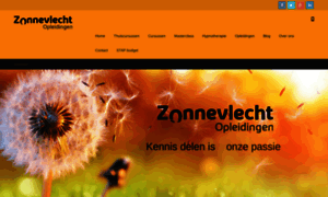 Zonnevlechtopleidingen.nl thumbnail