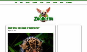 Zooborns.com thumbnail