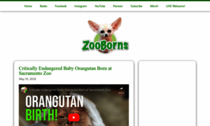 Zooborns.typepad.com thumbnail
