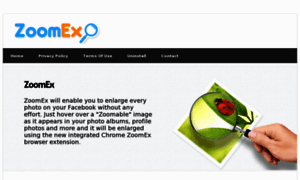 Zoomex.net thumbnail
