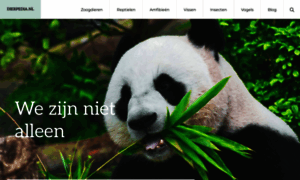 Zooster.nl thumbnail