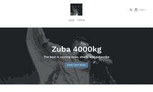 Zuba4000kgtotheworld.com thumbnail