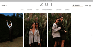 Zut.com.co thumbnail
