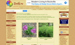 Zvetki.ru thumbnail
